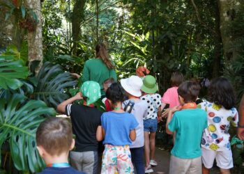 De Férias na Mata Atlântica: Inscrições já estão abertas para a Colônia de Férias do Parque das Aves