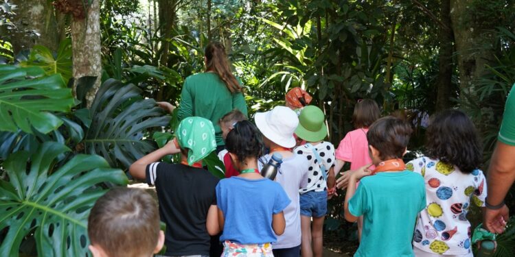 De Férias na Mata Atlântica: Inscrições já estão abertas para a Colônia de Férias do Parque das Aves