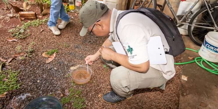 Ministério da Saúde anuncia monitoramento e ações de controle da dengue em Foz do Iguaçu