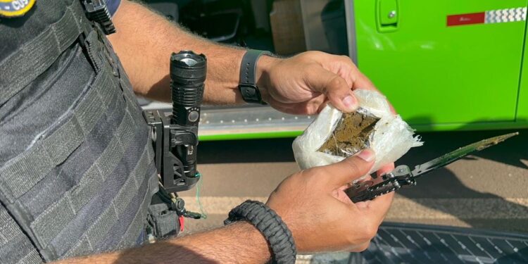 Em ônibus de linha, Receita Federal apreende malas com haxixe e cigarros contrabandeados