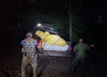 100 kg de capulho, uma variação da maconha, são apreendidos às margens do Rio Paraná