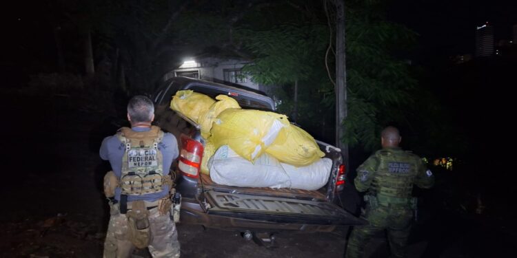 100 kg de capulho, uma variação da maconha, são apreendidos às margens do Rio Paraná