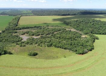 Nas comemorações dos 86 anos do Parque Nacional do Iguaçu, Itaipu destaca ações de preservação ambiental