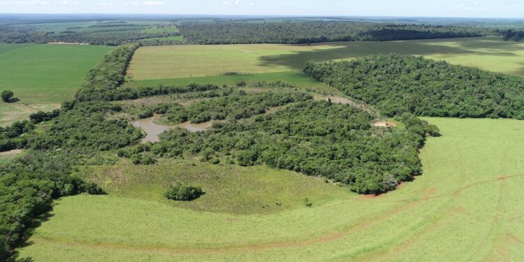 Nas comemorações dos 86 anos do Parque Nacional do Iguaçu, Itaipu destaca ações de preservação ambiental
