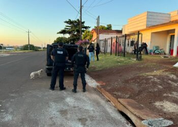 Polícia Civil deflagra operação contra organização criminosa envolvida em homicídios e tráfico de drogas