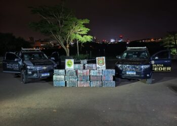 Polícia localiza quase 500 kg de maconha às margens do Rio Paraná