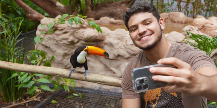 Parque das Aves inaugura viveiro “Mundo dos Tucanos”