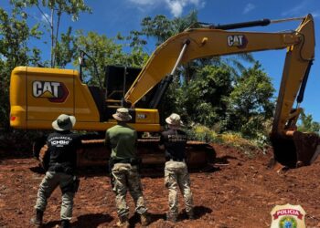 Polícia identifica desmatamento em área de preservação próxima ao Parque Nacional do Iguaçu