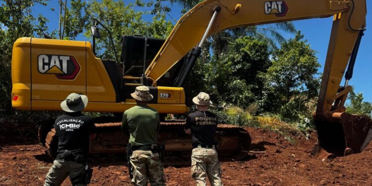 Polícia identifica desmatamento em área de preservação próxima ao Parque Nacional do Iguaçu