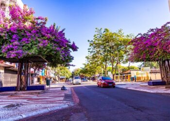 Cultura na avenida: apresentações começam no próximo sábado (01)