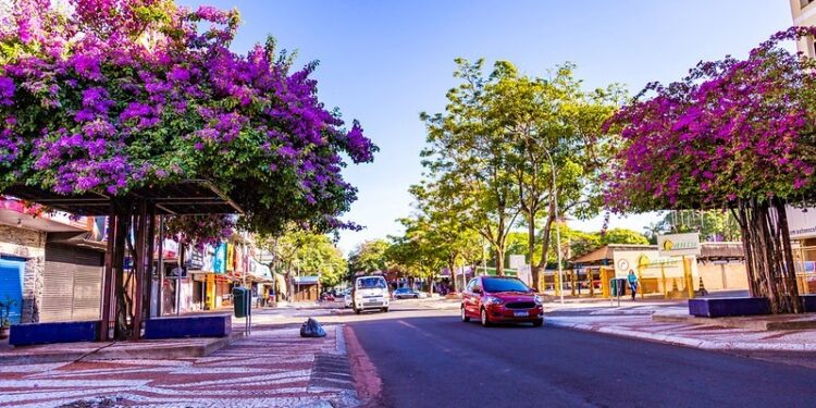 Cultura na avenida: apresentações começam no próximo sábado (01)