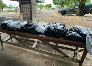Receita Federal apreende 90 kg de salame irregular na Ponte Tancredo Neves