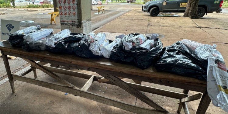 Receita Federal apreende 90 kg de salame irregular na Ponte Tancredo Neves
