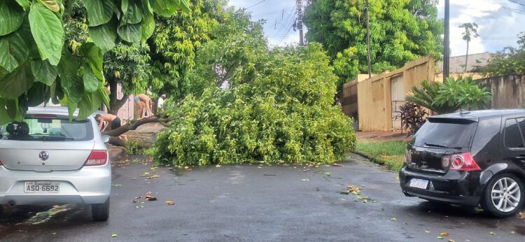 Temporal atinge região do Morumbi, causa destelhamento e deixa moradores sem energia