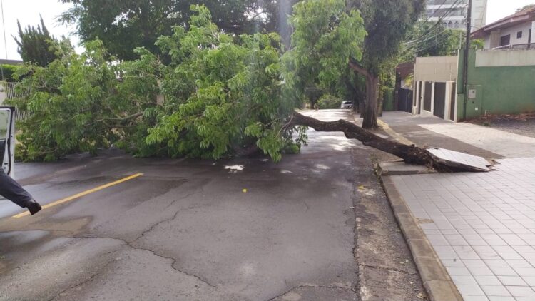 Temporal atinge região do Morumbi, causa destelhamento e deixa moradores sem energia