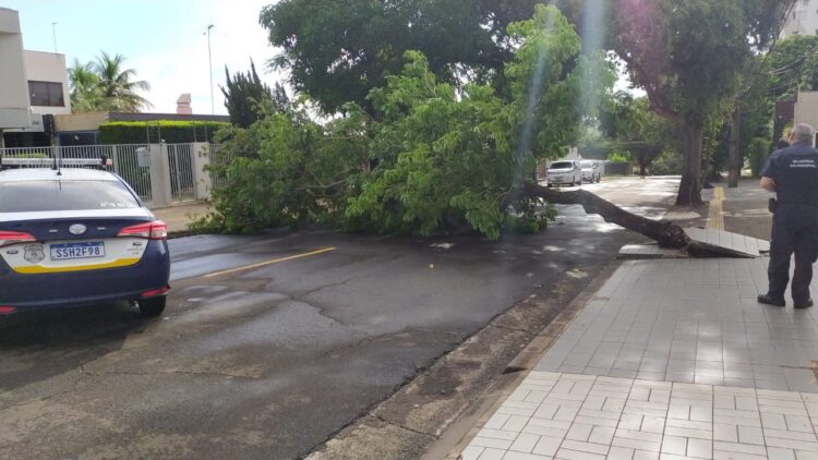 Temporal atinge região do Morumbi, causa destelhamento e deixa moradores sem energia