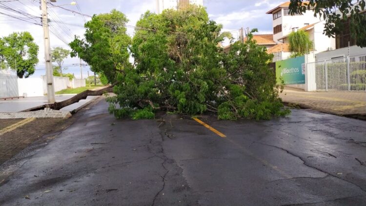 Temporal atinge região do Morumbi, causa destelhamento e deixa moradores sem energia