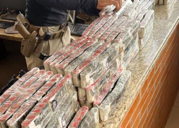 Veículo transportando mil ampolas de anabolizantes é interceptado na BR-277