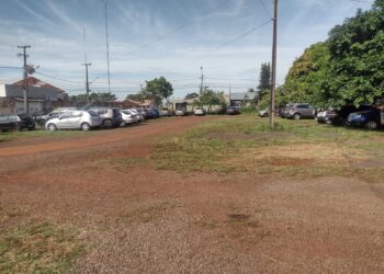 Prefeitura está quase sem espaço para carros guinchados por irregularidades