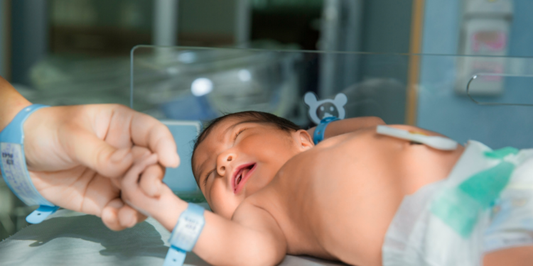 Foz do Iguaçu deve ganhar maternidade para atendimento pelo SUS