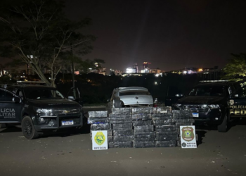 Polícia apreende quase 700 kg da maconha às margens do Rio Paraná