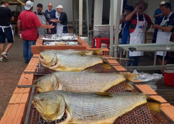 Matriz São João Batista promove no dia 5 de abril a 16ª Festa do Peixe Assado