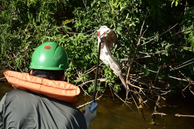 Mais de 140 quilos de resíduos são retirados do Rio Iguaçu na região das Cataratas