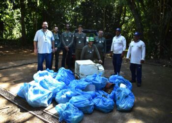 Mais de 140 quilos de resíduos são retirados do Rio Iguaçu na região das Cataratas