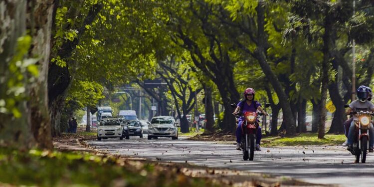 Por segurança, Domingo na Rua é suspenso temporariamente
