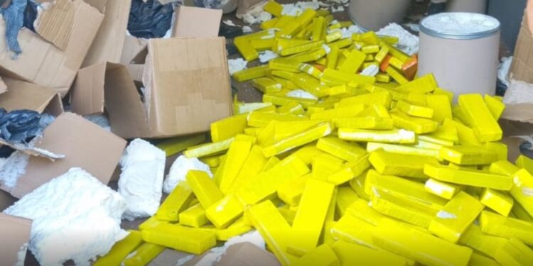 Barraco próximo ao Rio Paraná escondia quase meia tonelada de maconha