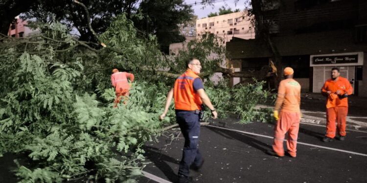Ventos que chegaram a 98 km/h derrubaram árvores e deixaram 14 mil residências sem luz em Foz