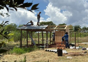 Comunidades indígenas do Paraná ganham galinheiros comunitários