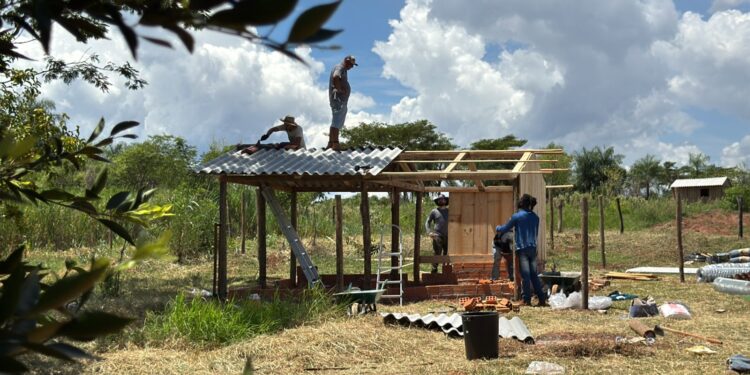 Comunidades indígenas do Paraná ganham galinheiros comunitários