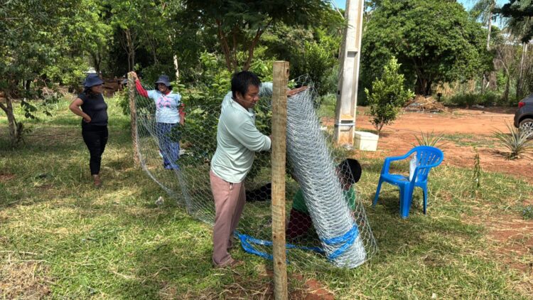 Comunidades indígenas do Paraná ganham galinheiros comunitários