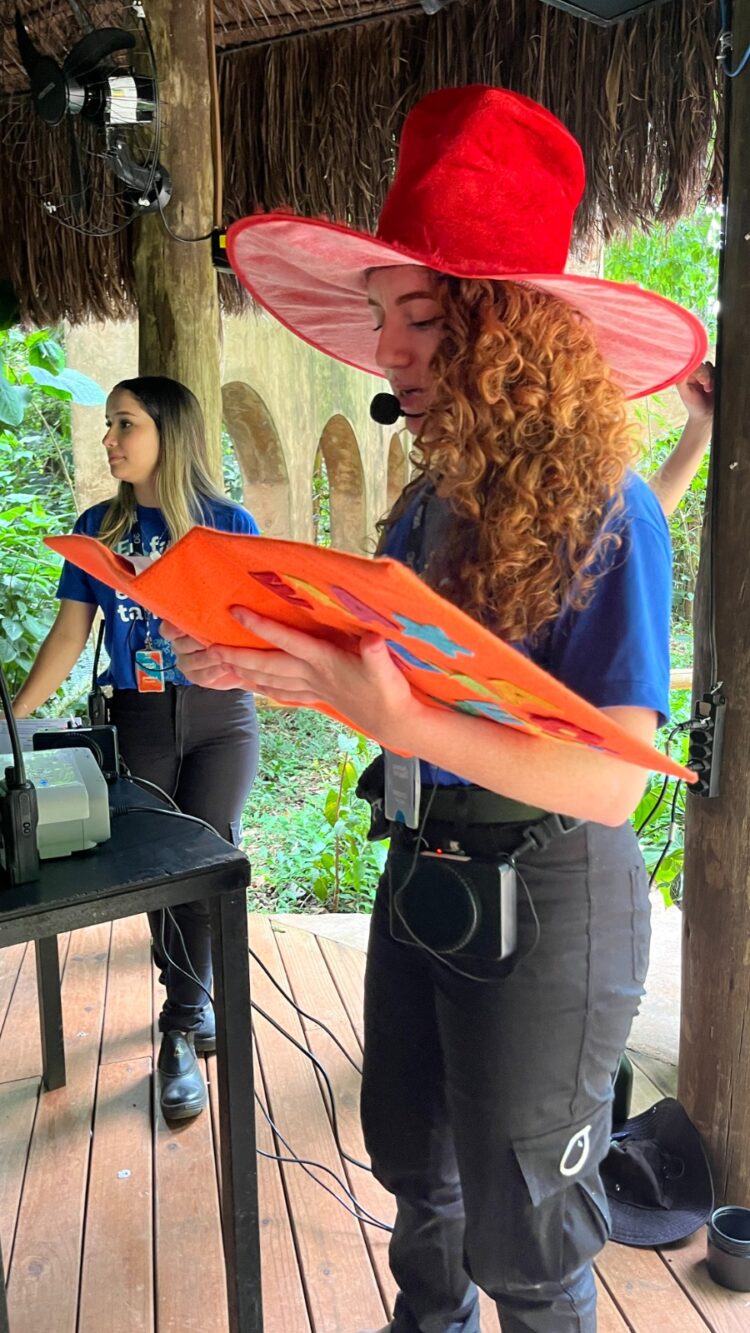 Parque das Aves abre inscrições para o Clubinho Guardiões da Mata Atlântica
