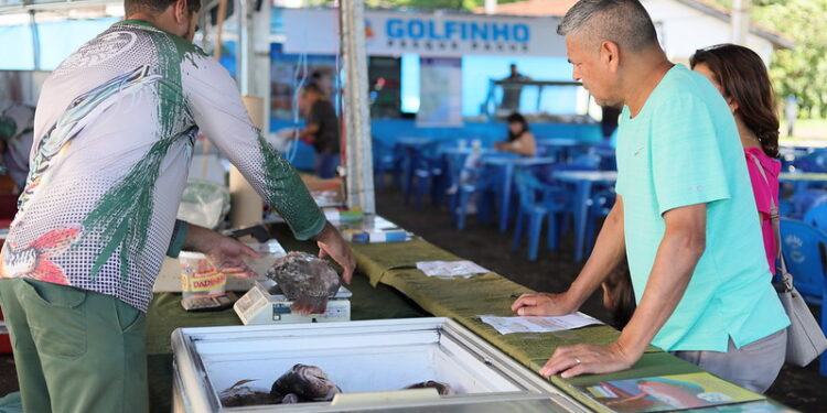 Produtores podem se credenciar para a XVIII Feira do Peixe em Foz