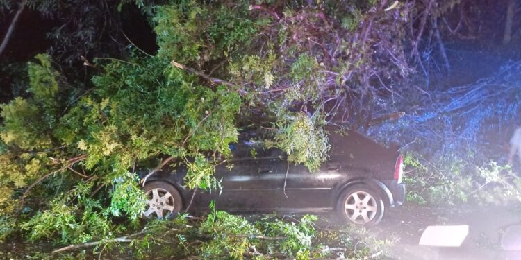 Ventos fortes e chuva de granizo provocam estragos em Foz do Iguaçu