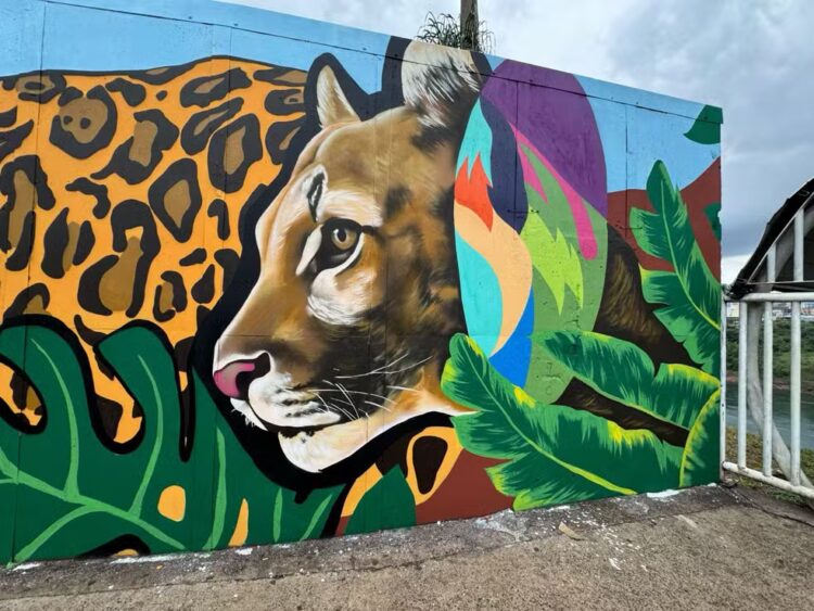 Ponte da Amizade: 60 anos da obra que mudou a história da tríplice fronteira