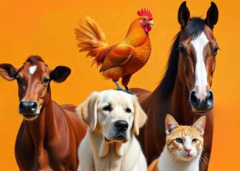 Prefeitura de Foz promove “Dia C” de Conscientização à Crueldade Animal