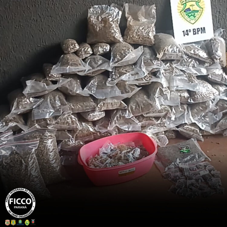 Polícia apreende drogas, armas e munições em barraco às margens do Rio Paraná