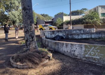 Mulher é encontrada morta a pauladas próximo a pista de skate do Costa Cavalcanti