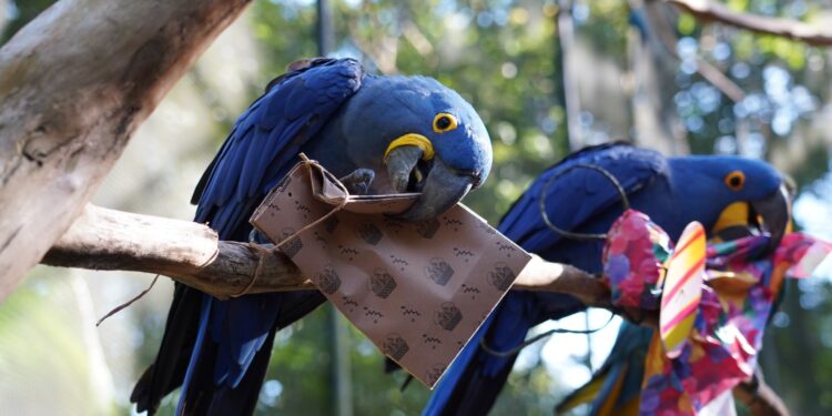 Parque das Aves terá programação especial para celebrar a Páscoa