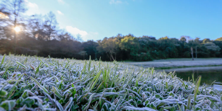 Primeira geada de 2025 é esperada para esta terça-feira, prevê Simepar