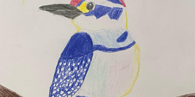 Parque das Aves lança concurso de desenho em homenagem ao mês da Mata Atlântica