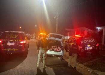 Condutor lança óleo no para-brisa da viatura da PRF durante fuga com veículo carregado de maconha