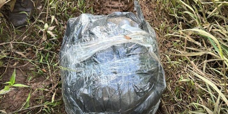 11 kg de capulho, uma variação da maconha, são apreendidos às margens do Rio Paraná