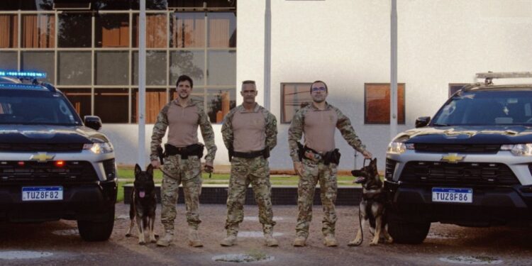 Viaturas adaptadas vão reforçar o trabalho da PF com o auxílio de cães farejadores