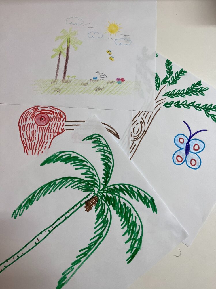 Parque das Aves lança concurso de desenho em homenagem ao mês da Mata Atlântica