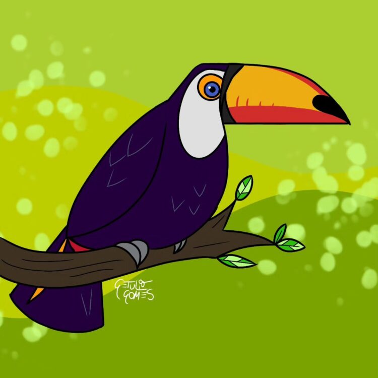 Parque das Aves lança concurso de desenho em homenagem ao mês da Mata Atlântica