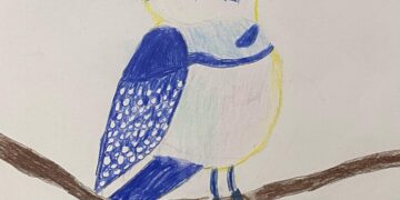 Parque das Aves lança concurso de desenho em homenagem ao mês da Mata Atlântica